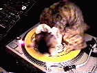 Picture of DJ_Alex